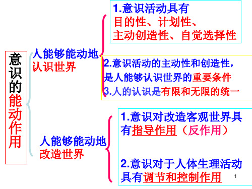 经典课件：人的认识从何而来(上课用)