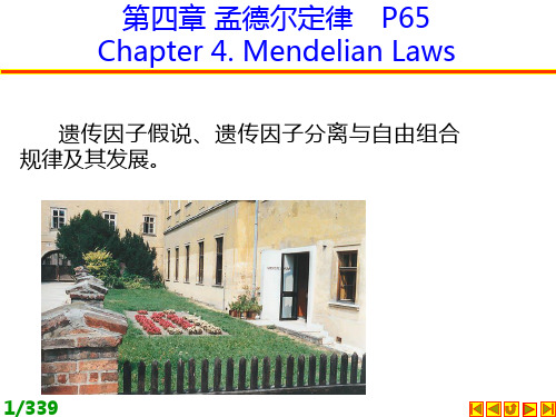 遗传学：朱军第三版：第04章 孟德尔定律