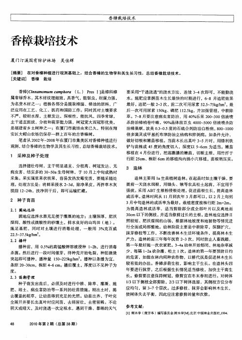香樟栽培技术