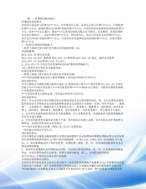 项目资金使用情况报告