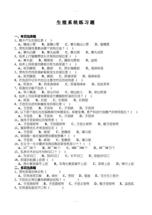 生殖系统练习题(附答案)