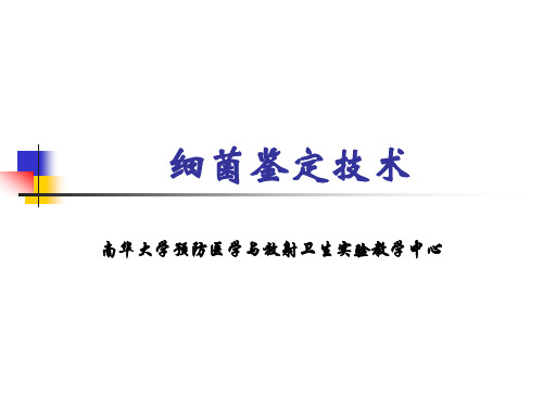 细菌鉴定技术-临床微生物学跟微生物学检验资料文档