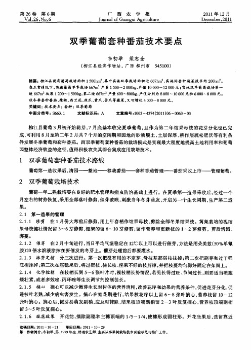 双季葡萄套种番茄技术要点