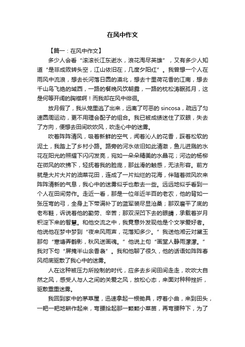 在风中作文