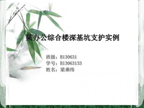 某办公综合楼深基坑支护实例