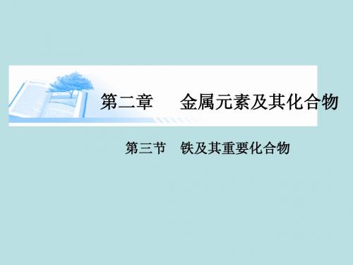 2015届高考化学总复习 第二章 第三节铁及其重要化合物精讲课件