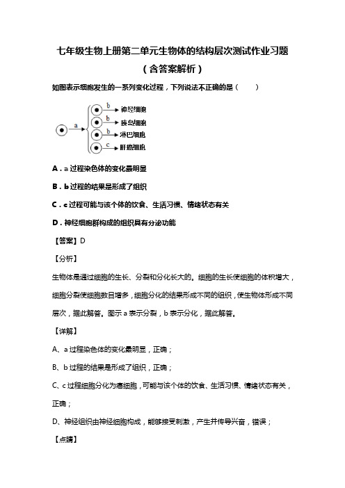 七年级生物上册第二单元生物体的结构层次测试作业习题(含答案解析)(155)