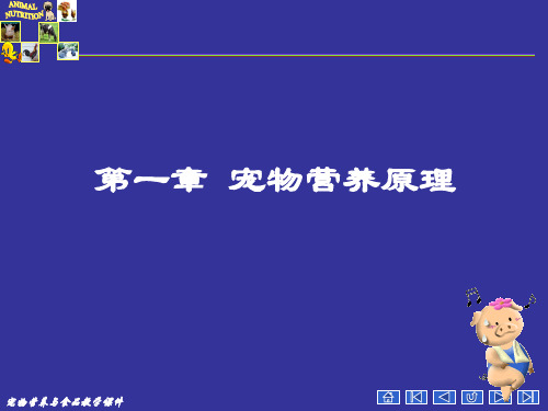 宠物营养原理