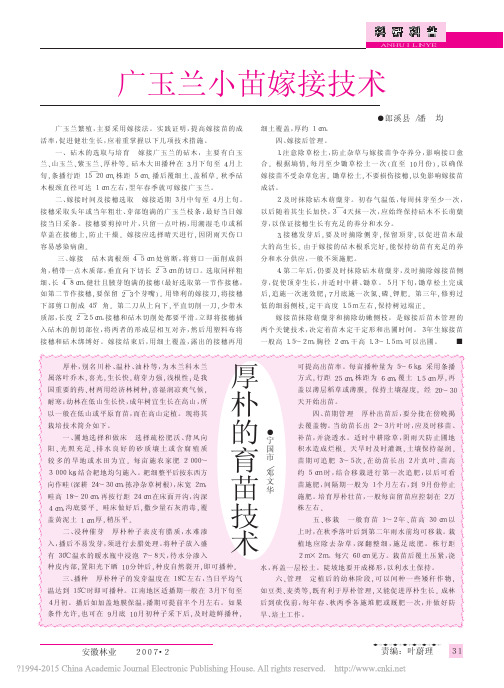厚朴的育苗技术