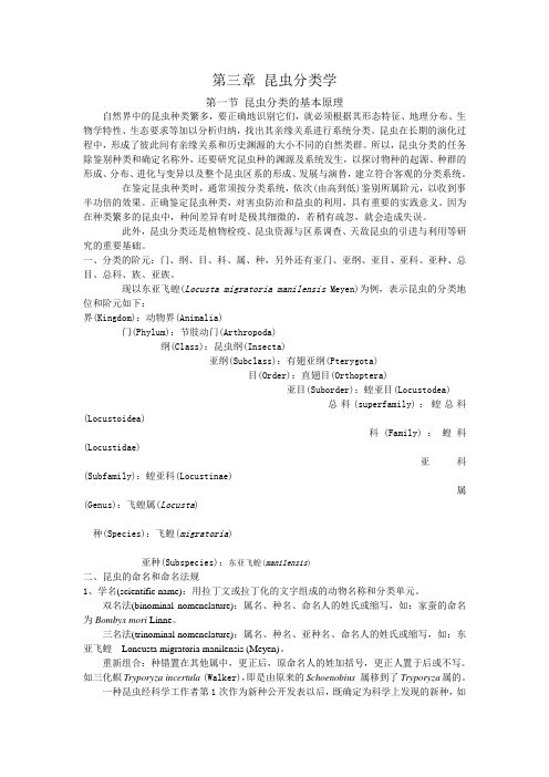 第三章昆虫分类学