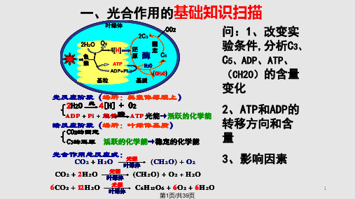 高考二轮复习光合作用与呼吸作用专题PPT课件