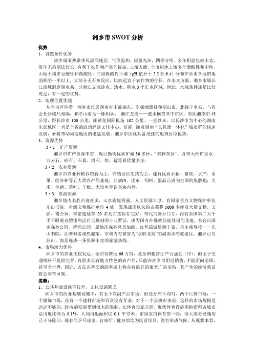 湘乡市swot分析1