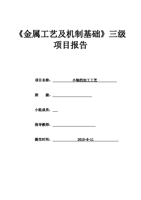 金属工艺三级项目
