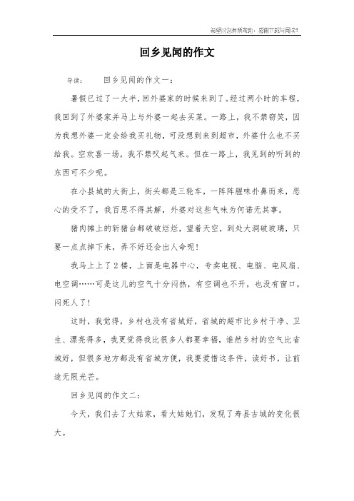 回乡见闻的作文