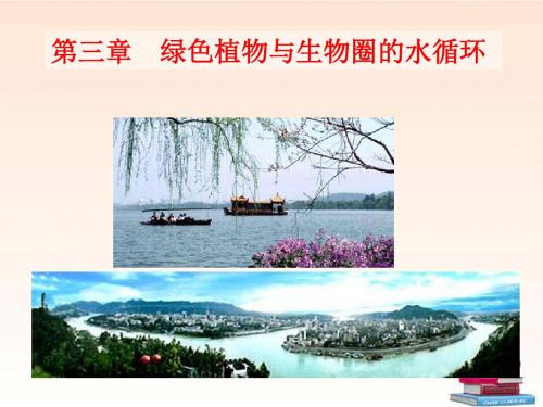 2018人教版生物七年级上册3.3《绿色植物与生物圈的水循环》课件(共49张PPT)