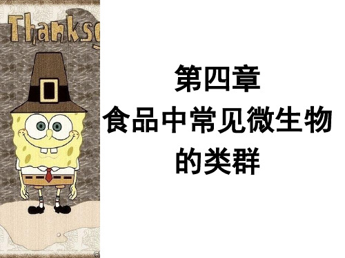 食品微生物学课件-第四章