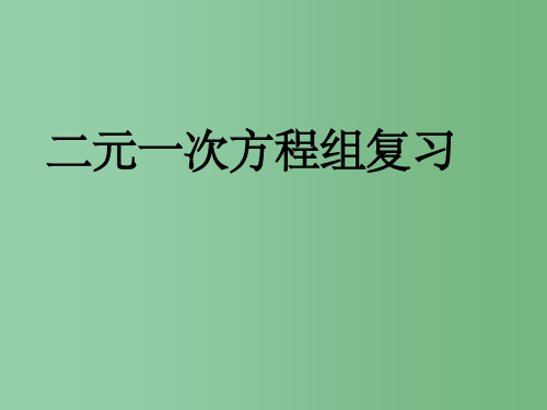 七年级数学下册 第七章 二元一次方程组复习 鲁教版五四制