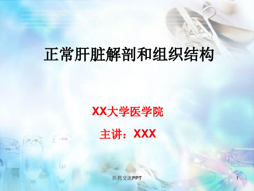正常肝脏解剖和组织结构
