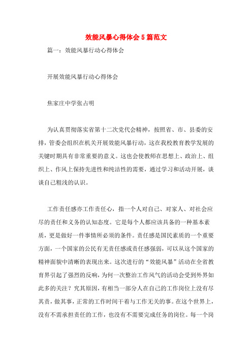 效能风暴心得体会5篇范文