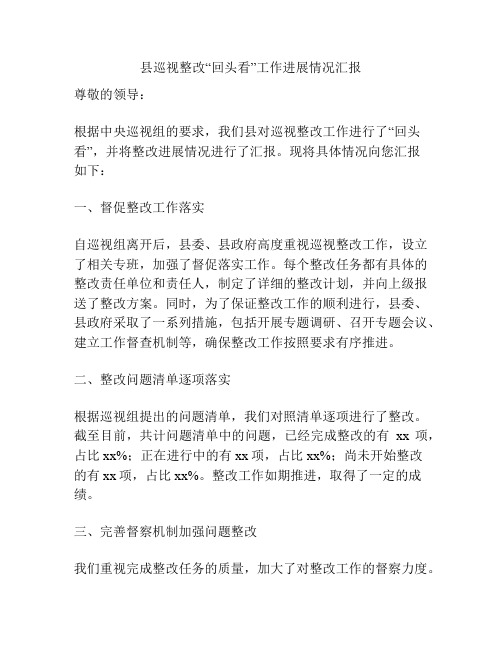 县巡视整改“回头看”工作进展情况汇报