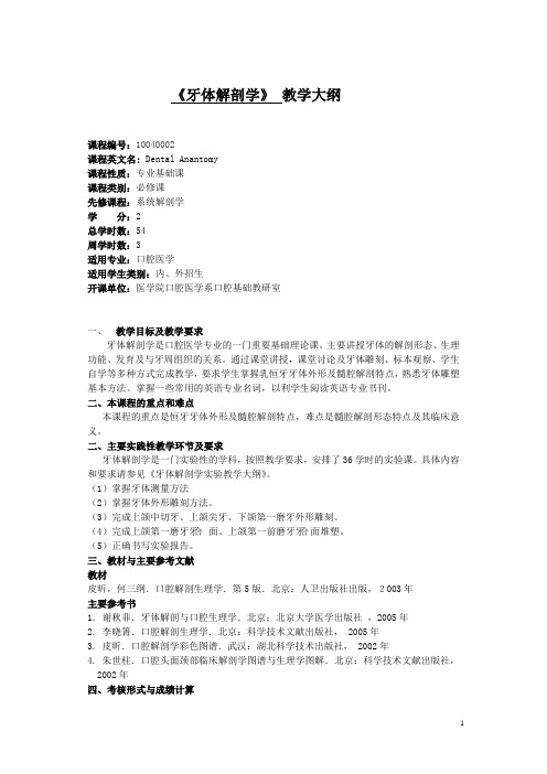 牙体解剖学