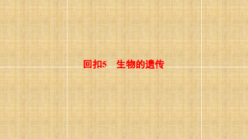 课堂新坐标通用版高考生物二轮复习第2部分专项体能突破专项3回扣5生物的遗传名师课件
