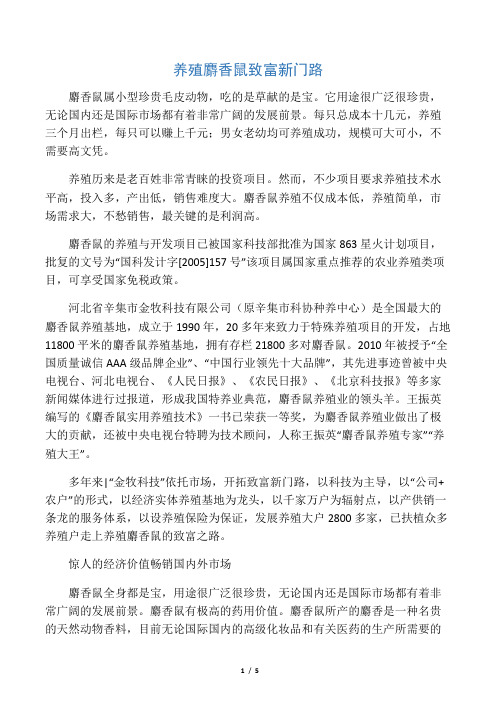 养殖麝香鼠致富新门路