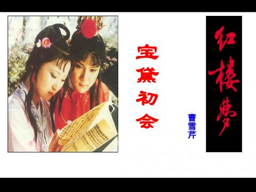 语文版必修三《宝黛初会》课件
