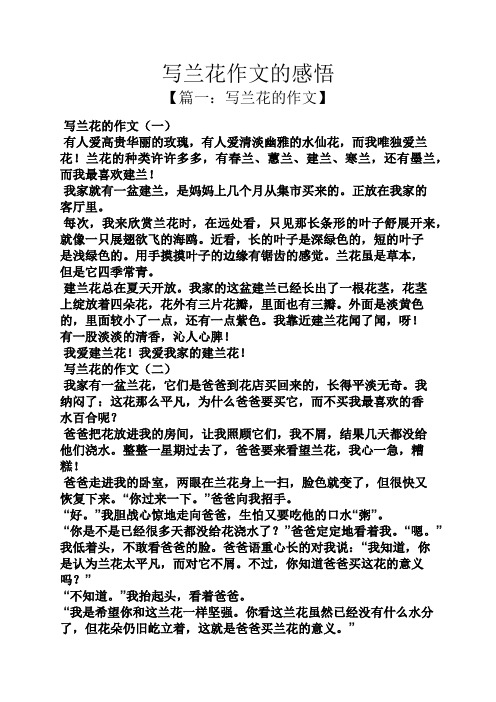 写兰花作文的感悟