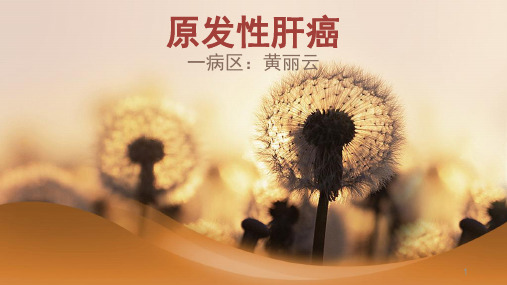 肝癌护理查房ppt课件