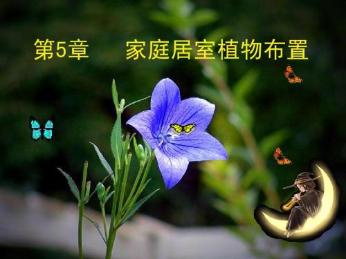 居室内插花布置课件