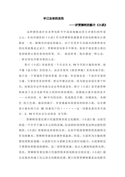 薛肖伟 《小武》影评