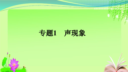 最新2020 中考物理专项复习《声现象》(共31张PPT)教育课件