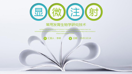 发育生物学——显微注射
