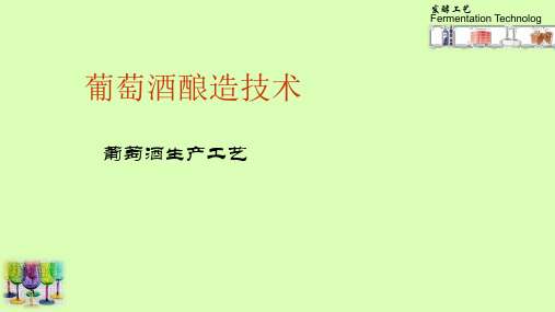 葡萄酒生产工艺1