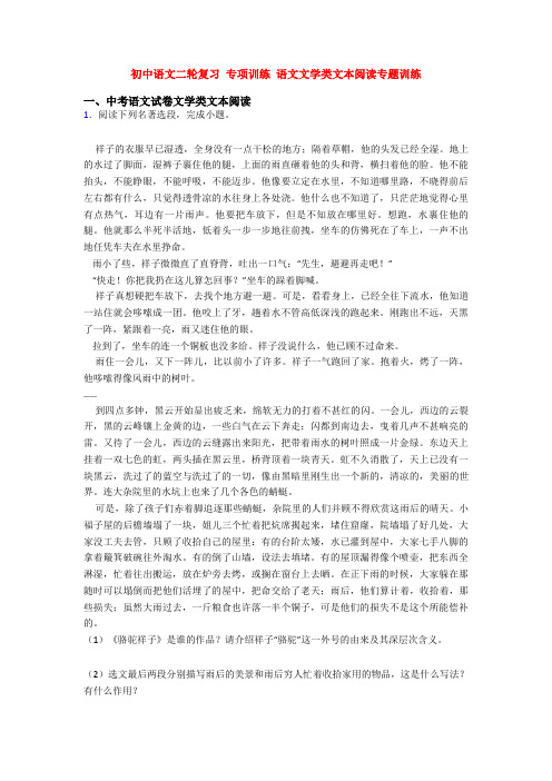 初中语文二轮复习 专项训练 语文文学类文本阅读专题训练