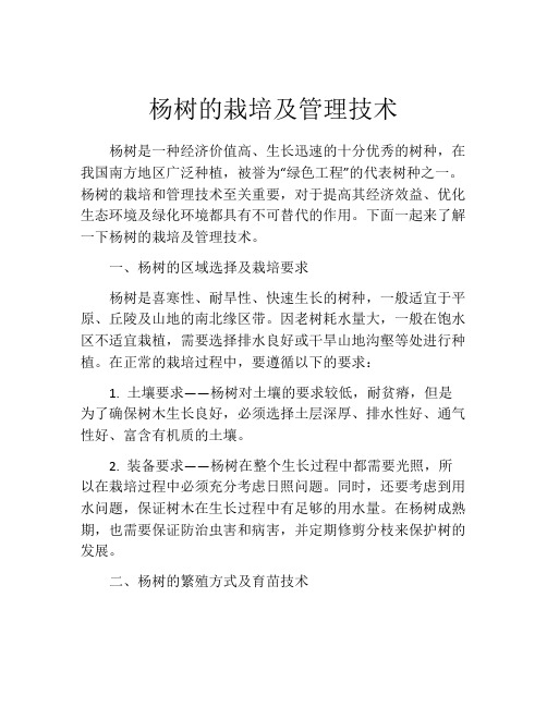 杨树的栽培及管理技术