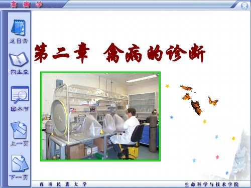 精品课程《禽病学》第二章禽病的诊断PPT课件