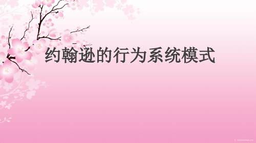 约翰逊行为系统模式