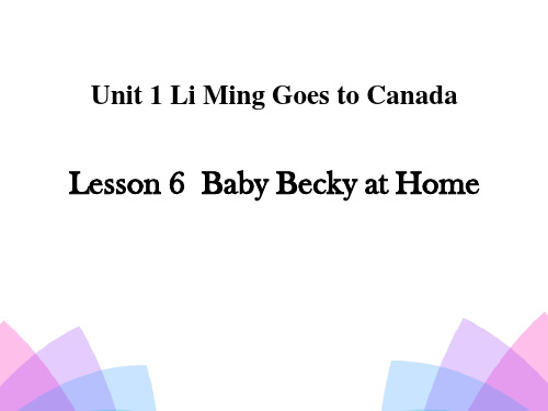 《Baby Becky at Home》优质课件 冀教版