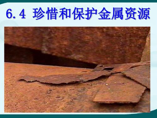 6.4_珍惜和保护金属资源