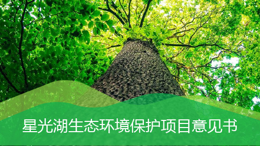 星光湖意见书
