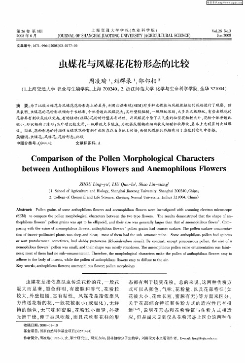 虫媒花与风媒花花粉形态的比较