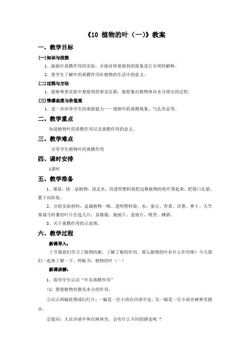 四年级科学上册《10 植物的叶》教案1 青岛版
