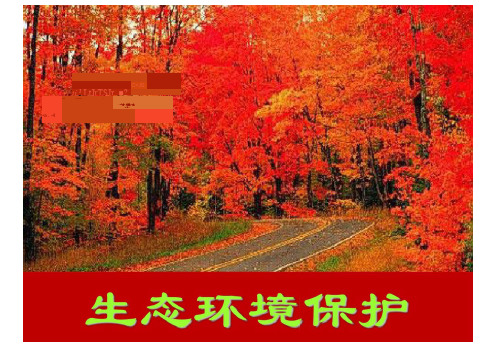 高中地理《森林及其保护》课件