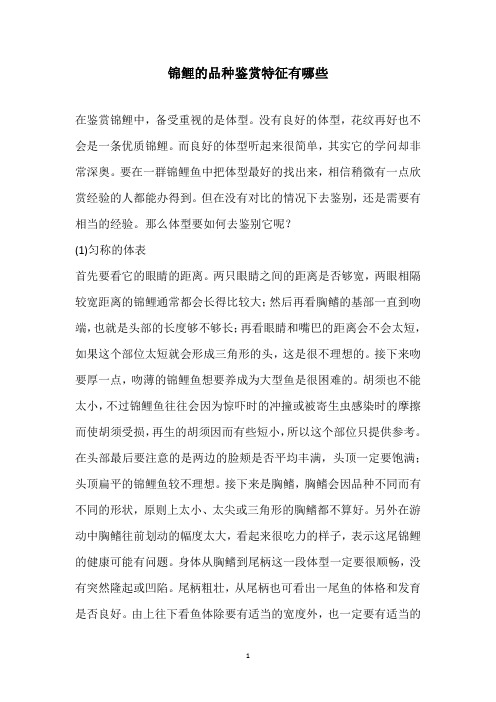 锦鲤的品种鉴赏特征有哪些