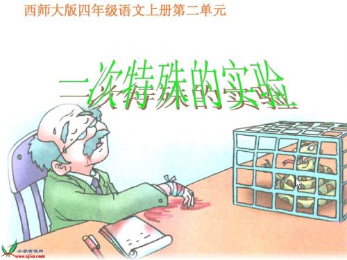 一次特殊的实验课件