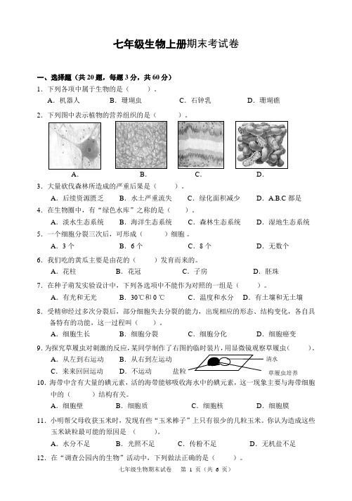 2019年人教版七年级生物上册期末考试卷及答案