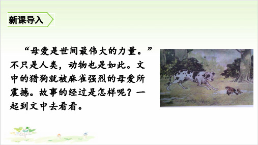 《麻雀》ppt—人教部编版麻雀完美课件1