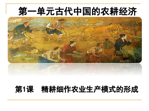 第1课  精耕细作农业生产模式的形成